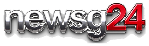 newsg24 logo